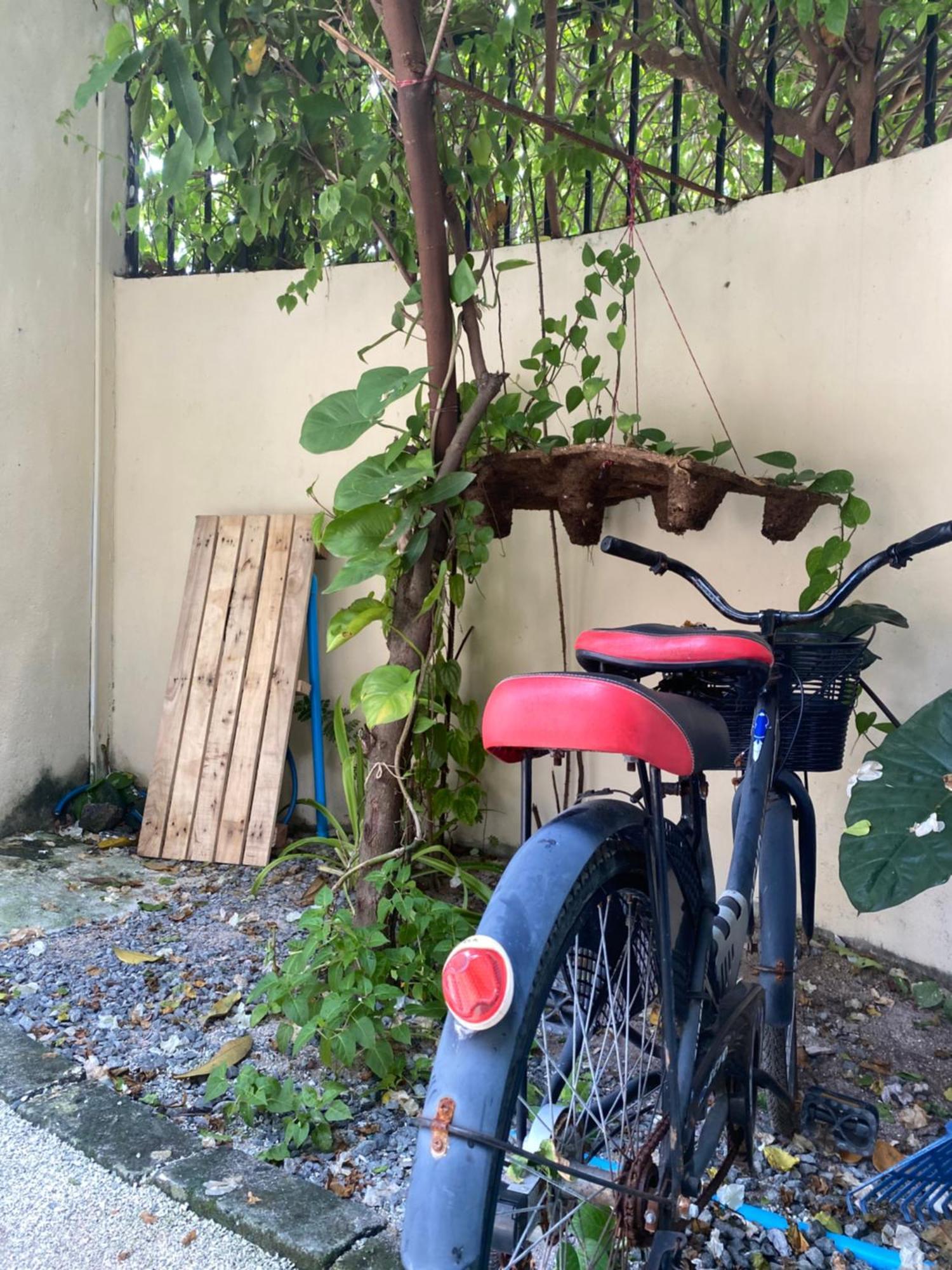Maavaharu Guest House Himmafushi Dış mekan fotoğraf