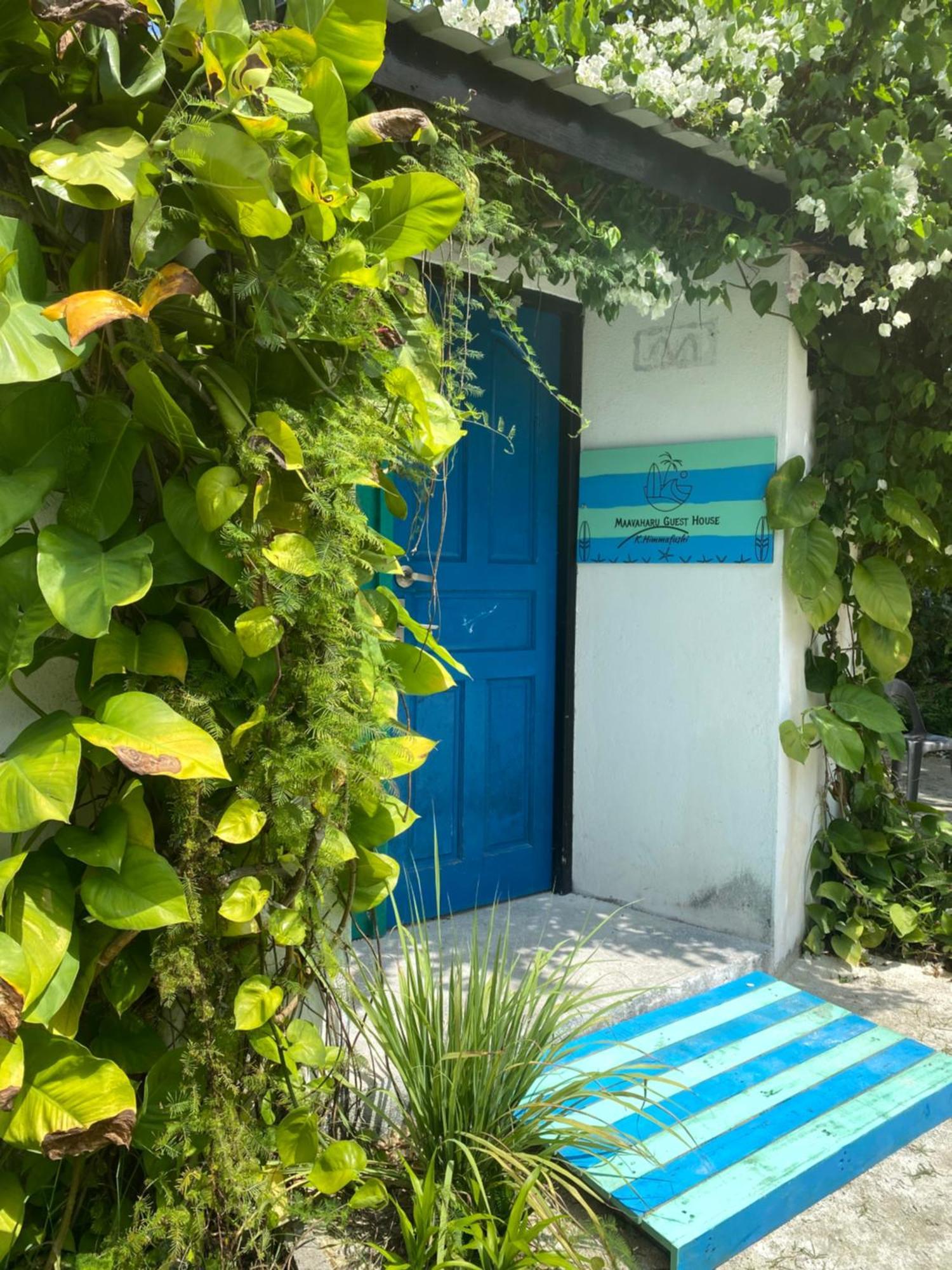Maavaharu Guest House Himmafushi Dış mekan fotoğraf
