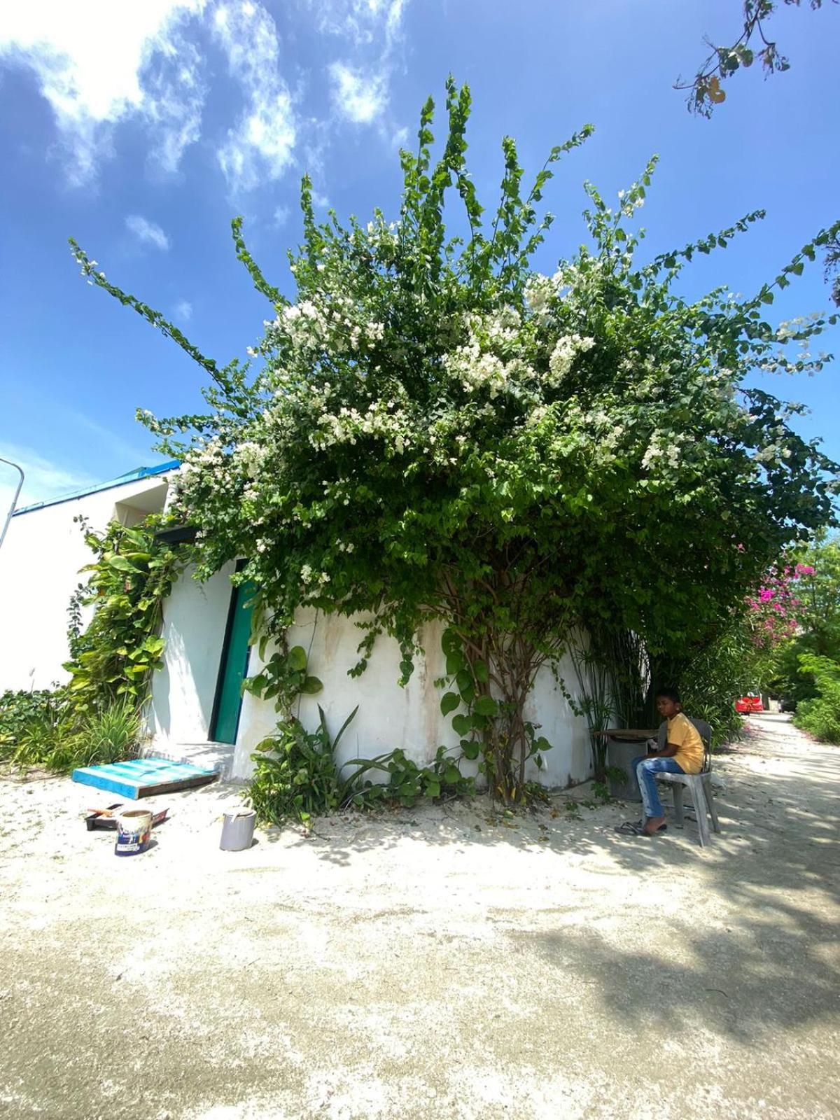 Maavaharu Guest House Himmafushi Dış mekan fotoğraf